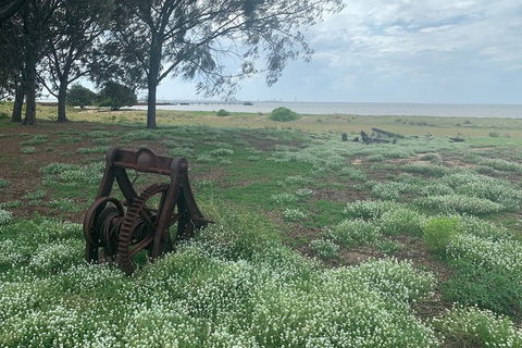 Half Day St. Helena Island Tour - Attractions Sydney 1