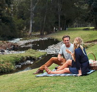 Mt Tamborine - Hinterland Wonders Self Guided - Attractions Sydney