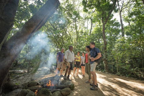 Mossman Gorge Adventure Day - Attractions Sydney 2