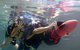 Scuba Kids- Padi Bubblemaker Course - thumb 2