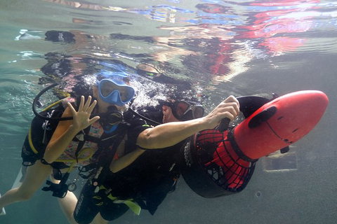 Scuba Kids- Padi Bubblemaker Course - Attractions Sydney 2