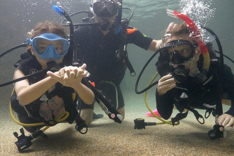 Scuba Kids- Padi Bubblemaker Course - Attractions Sydney 4