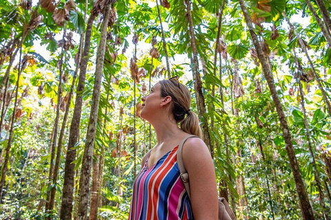 5 Day Australia Retreat: Queensland Daintree - Attractions Sydney 3