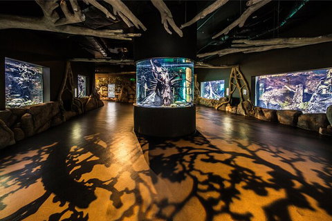 Cairns Aquarium By Twilight With 3 Course Dinner - Attractions Sydney 7