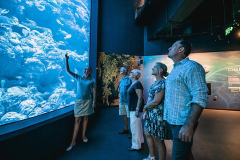 Cairns Aquarium By Twilight With 3 Course Dinner - Attractions Sydney 0