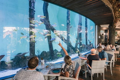 Cairns Aquarium By Twilight With 3 Course Dinner - Attractions Sydney 1