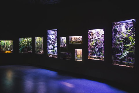 Cairns Aquarium By Twilight With 3 Course Dinner - Attractions Sydney 3