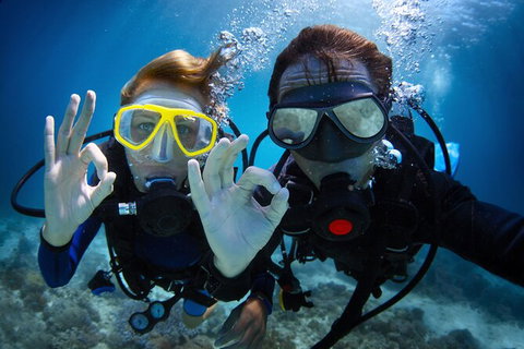 2 Night Whitsunday Islands Cruise On Atlantic Clipper From Airlie Beach - Attractions Sydney 4