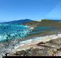 Full-Day Tour of Noosa Sunshine Coast and Eumundi Markets - Attractions Sydney