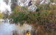 Kangaroo Island Self-Guided Kayaking On The Harriet River - thumb 5