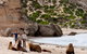 Kangaroo Island Scenic Trail Tour - thumb 1