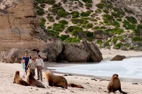 Kangaroo Island Scenic Trail Tour - Attractions Sydney 1