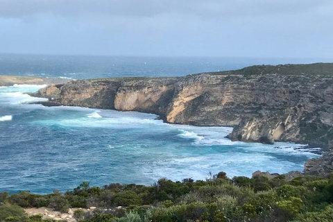 Kangaroo Island Scenic Trail Tour - Attractions Sydney 4