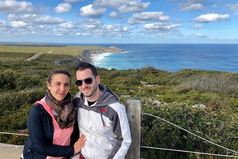 NEW TOUR - Flinders Chase Tour (Recovering From Fires) - Attractions Sydney 3