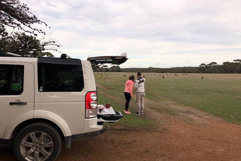 NEW TOUR - Flinders Chase Tour (Recovering From Fires) - Attractions Sydney 6