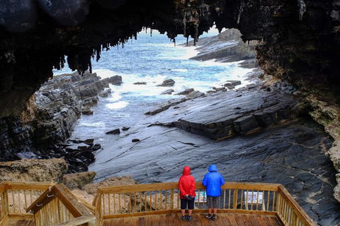 Full-Day Kangaroo Island Safari From Penneshaw - Attractions Sydney 1