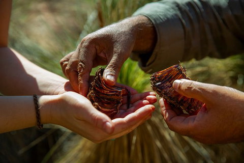 Half-Day Tour Into Ikara-Flinders Ranges National Park - Attractions Sydney 6