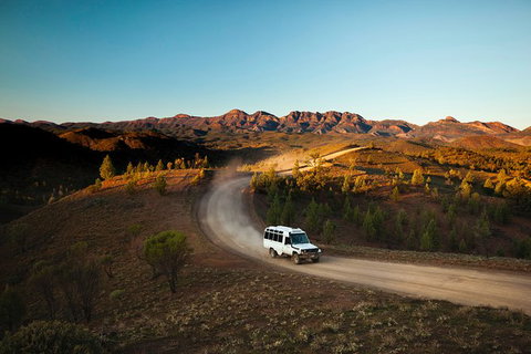 Half-Day Tour Into Ikara-Flinders Ranges National Park - Attractions Sydney 7