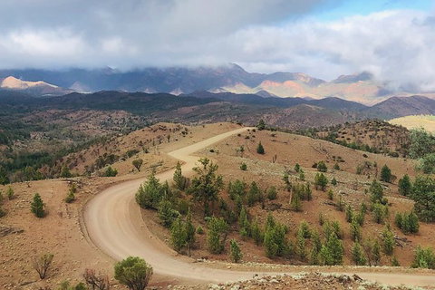 Half-Day Tour Into Ikara-Flinders Ranges National Park - Attractions Sydney 3