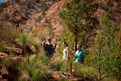 Half-Day Tour Into Ikara-Flinders Ranges National Park - Attractions Sydney 4