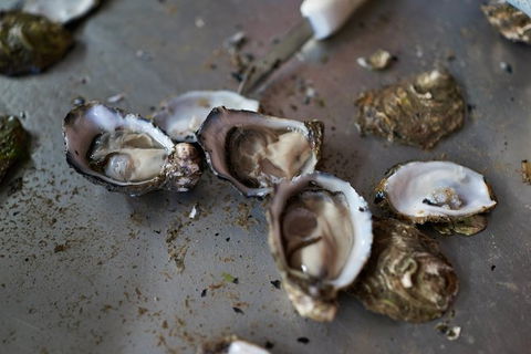 Fine Flavours - Full Day Kangaroo Island Food & Wine Tour - Attractions Sydney 10