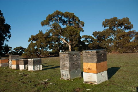 Fine Flavours - Full Day Kangaroo Island Food & Wine Tour - Attractions Sydney 5