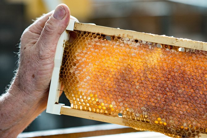 Kangaroo Inn SA Attractions Sydney