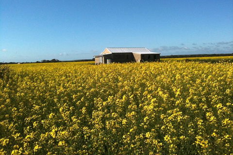 Fine Flavours - Full Day Kangaroo Island Food & Wine Tour - Attractions Sydney 11