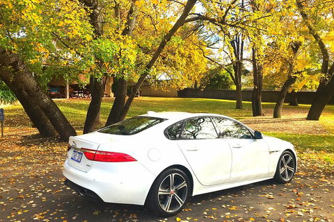 Luxury Jaguar Barossa Valley Half Day Private Tour For 2 - Attractions Sydney 0