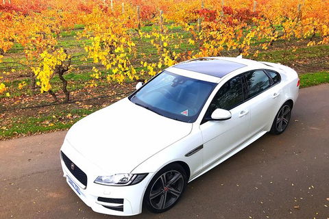 Luxury Jaguar Barossa Valley Half Day Private Tour For 2 - Attractions Sydney 2