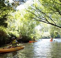 Paddle with the Platypus Twilight Kayak Adventure - Attractions Sydney