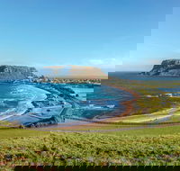 Cruise Ship Special from Burnie to Stanley and The Nut - Attractions Sydney