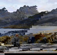 Cruise Ship Special from Burnie to Cradle Mountain - Attractions Sydney