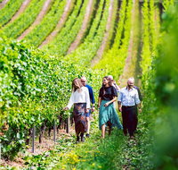 Tasmanian Wine Tour - Attractions Sydney