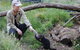 After Dark Tasmanian Devil Feeding Tour At Cradle Mountain - thumb 3