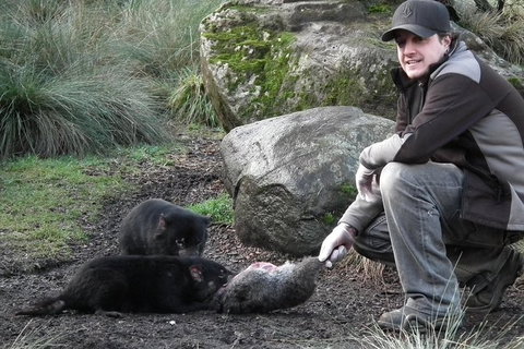 After Dark Tasmanian Devil Feeding Tour At Cradle Mountain - Attractions Sydney 0