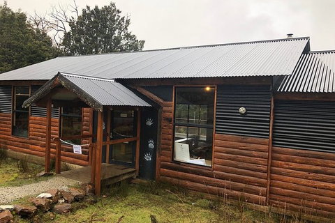 After Dark Tasmanian Devil Feeding Tour At Cradle Mountain - Attractions Sydney 6