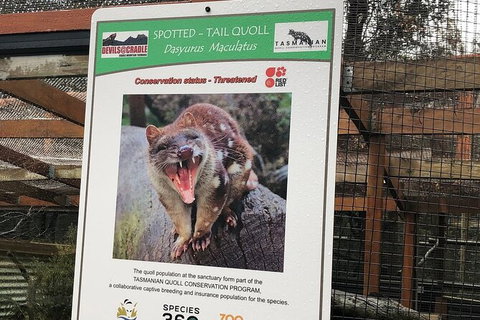 After Dark Tasmanian Devil Feeding Tour At Cradle Mountain - Attractions Sydney 2