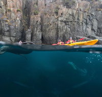 Tasman Peninsula full day kayaking tour - Attractions Sydney