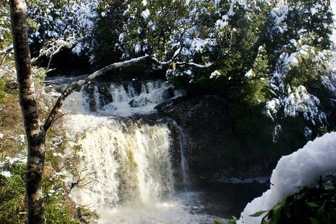 Cradle Mountain Park Explorer - Attractions Sydney 1