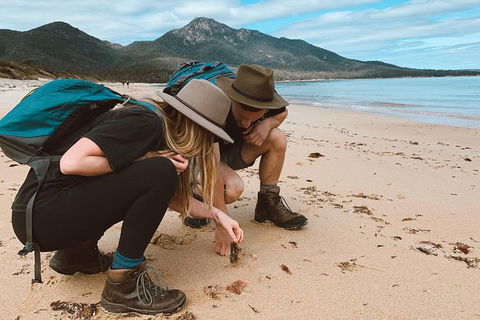 Freycinet Walking Tour - Attractions Sydney 0