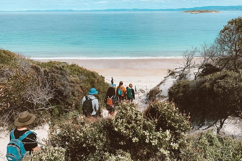 Freycinet Walking Tour - Attractions Sydney 2