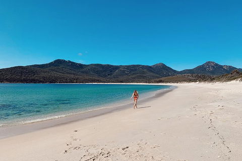 Freycinet Walking Tour - Attractions Sydney 5