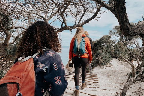 Freycinet Walking Tour - Attractions Sydney 6