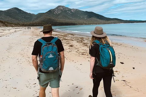 Freycinet Walking Tour - Attractions Sydney 7