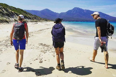 Freycinet Walking Tour - Attractions Sydney 1