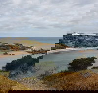 Shore Excursion Coast Caves and Wildlife Park - 8 hour tour - Attractions Sydney