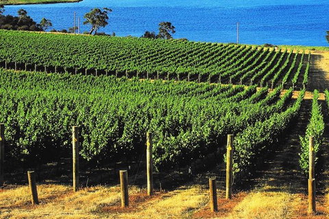 Hobart Afternoon Wine Tour Saturday: Local Wines + Cheese & Guide - Attractions Sydney 3