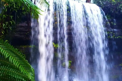 Hobart Minibus Full-Day Private Tour - Attractions Sydney 5