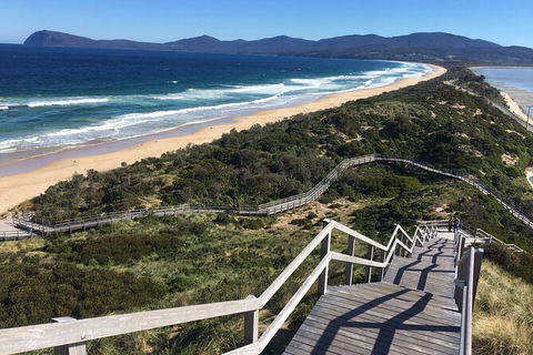 4-Day Fabulous Tasmania Tour: Wineglass Bay, Port Arthur, Devils & Bruny Island - Attractions Sydney 3